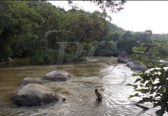 Rural à venda, Centro, Juquiá